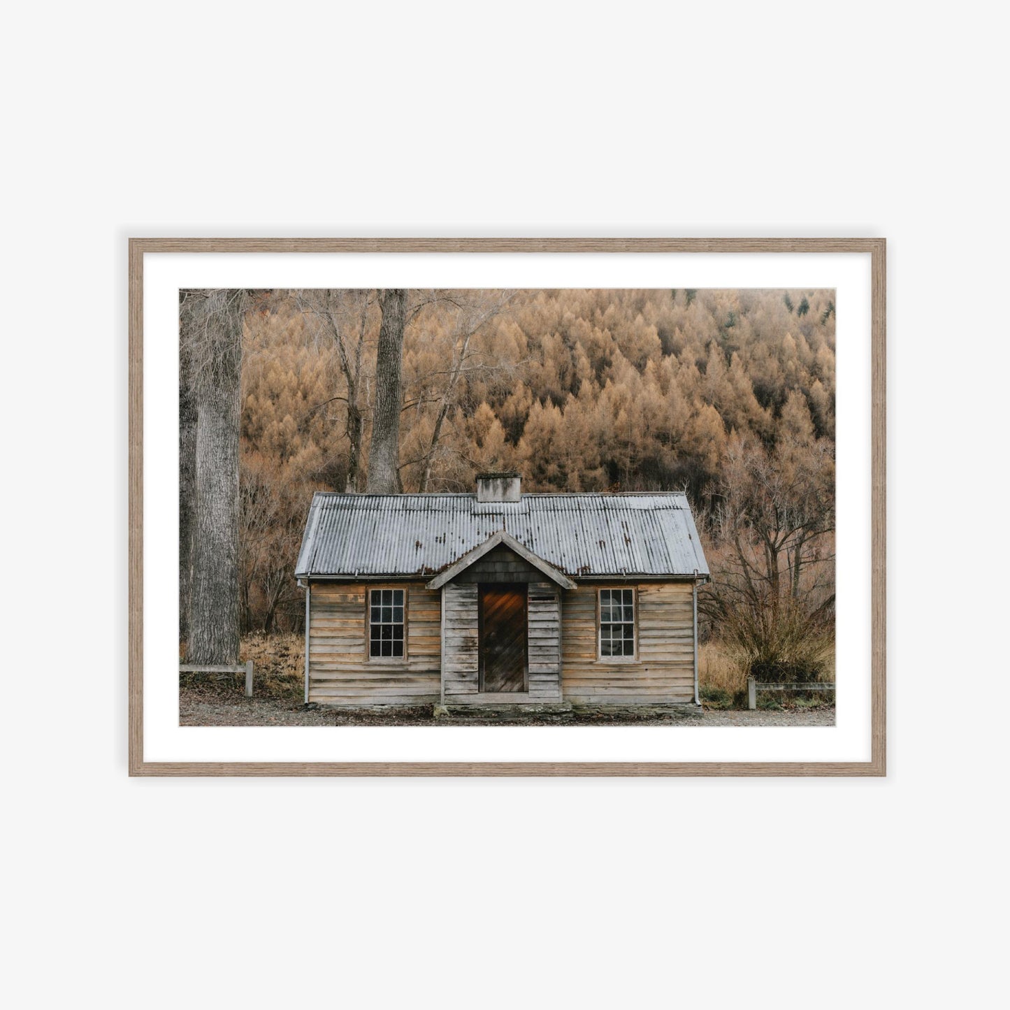 Cabin in the woods, New Zealand