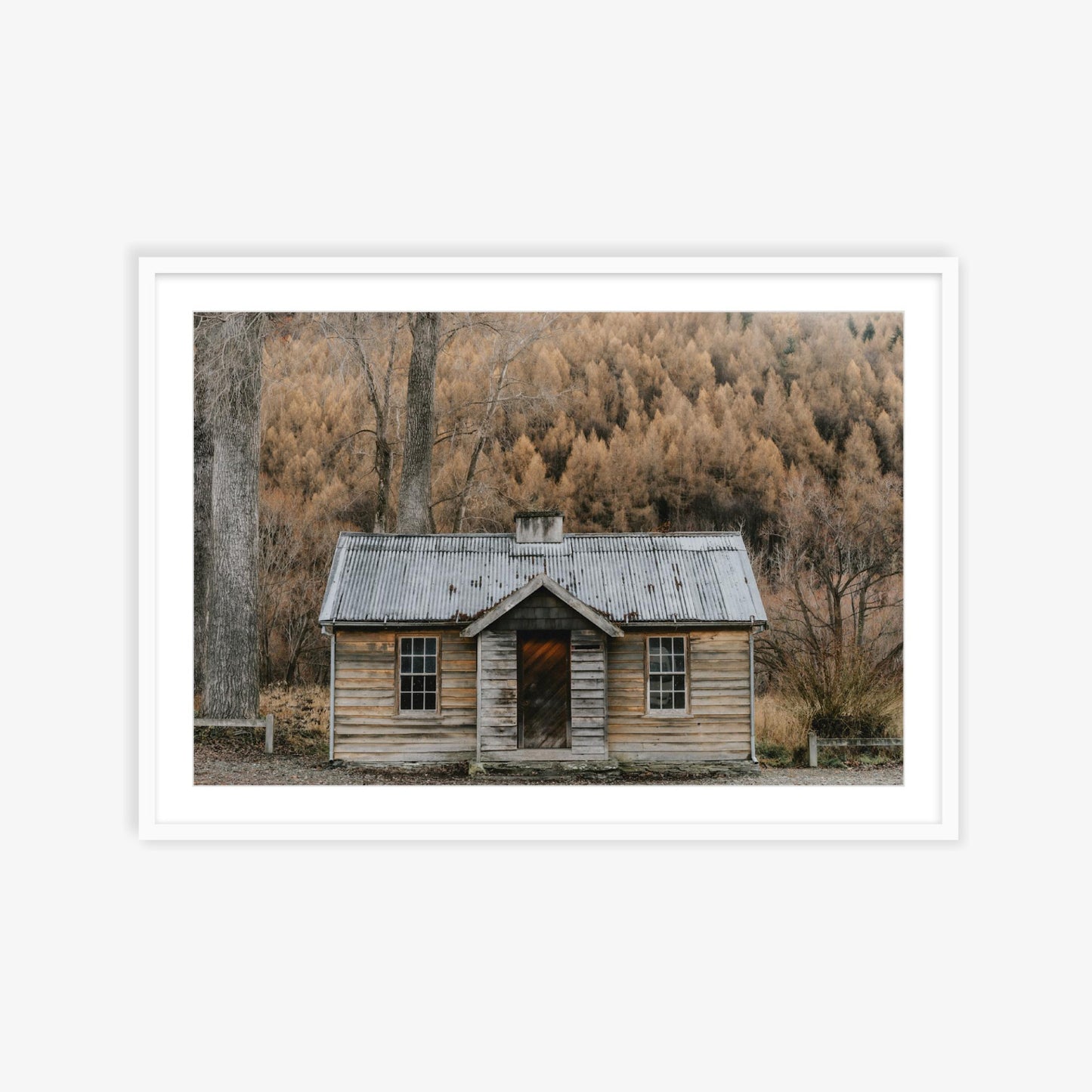 Cabin in the woods, New Zealand