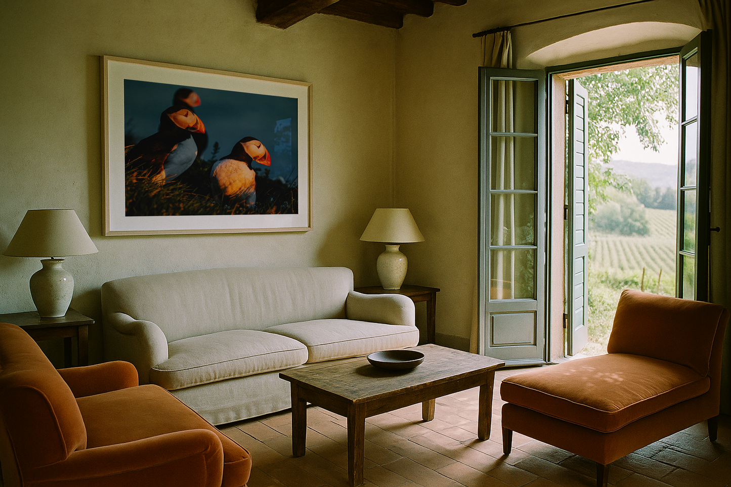 Puffins in the West Fjords