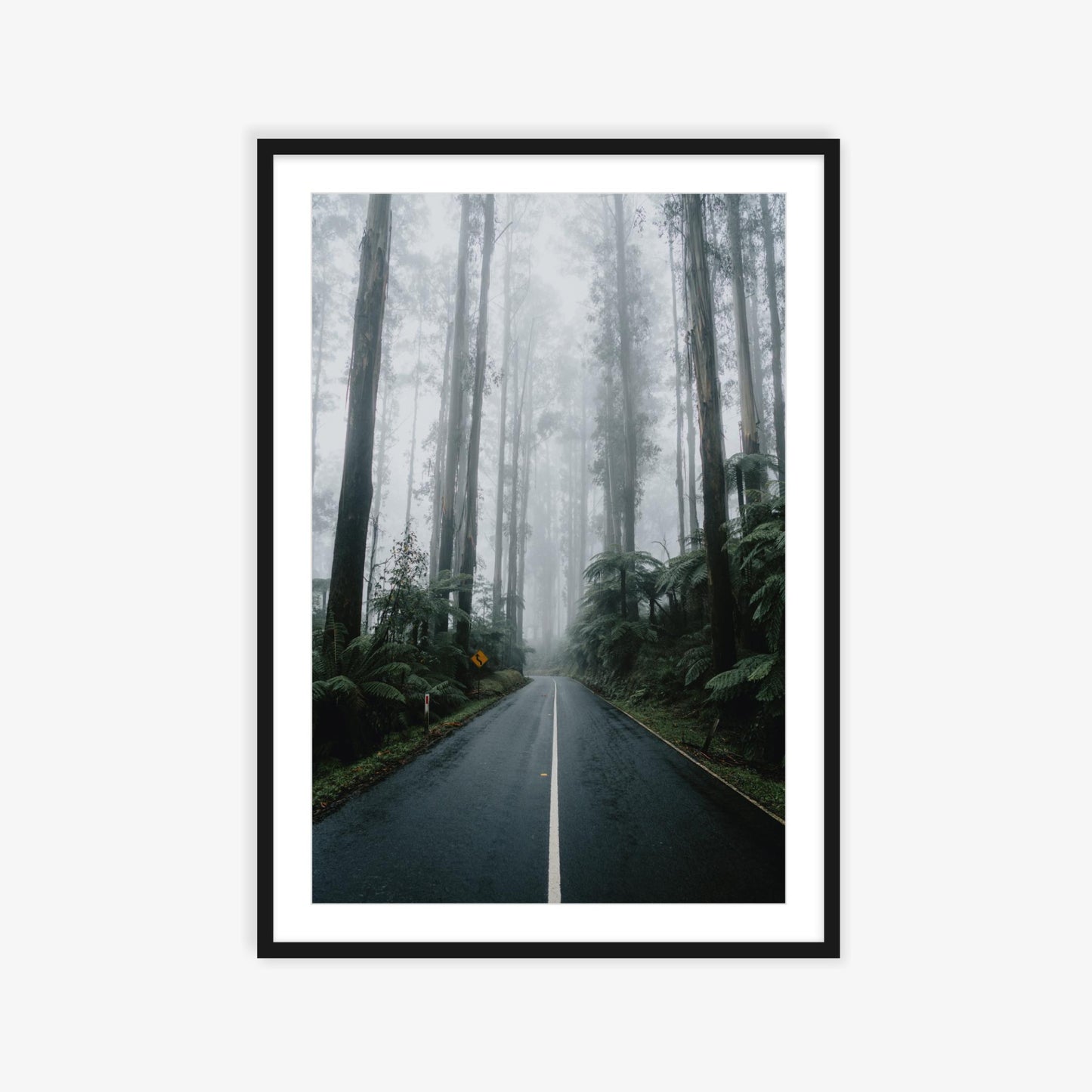 Drives through the Black Spur