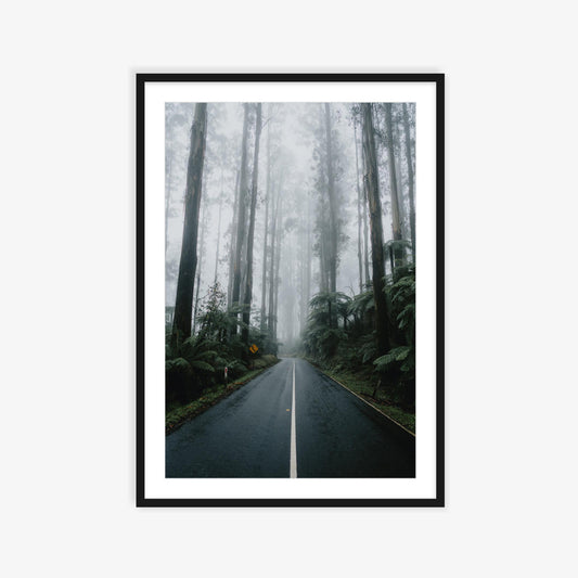 Drives through the Black Spur