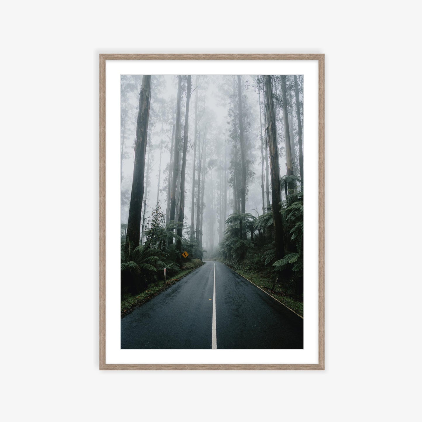 Drives through the Black Spur