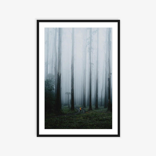 Black Spur wandering